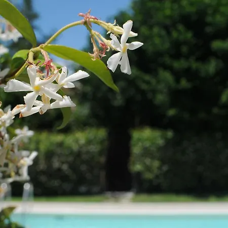Torricelli By Il Giardinetto *