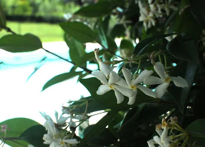 Torricelli By Il Giardinetto Apartahotel Scarperia