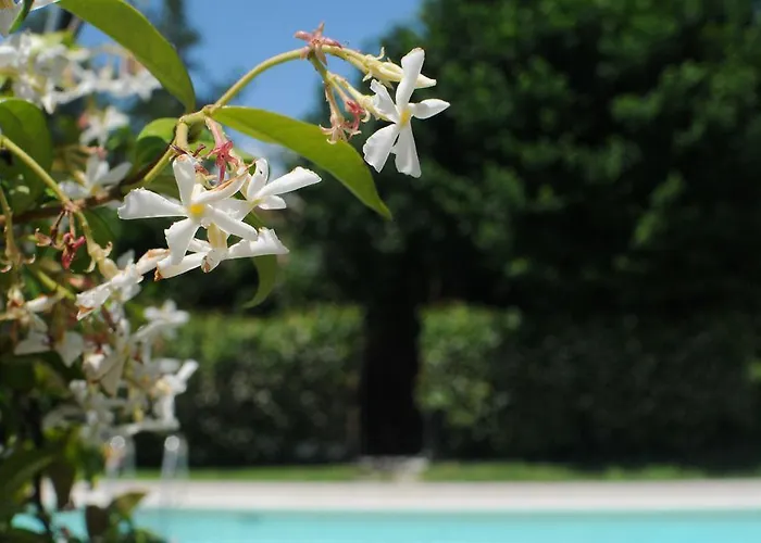 Torricelli By Il Giardinetto *